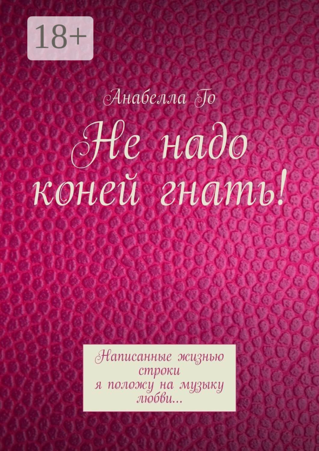 Обложка книги «Не надо коней гнать! Написанные жизнью строки я положу на музыку любви…» — Анабелла Го