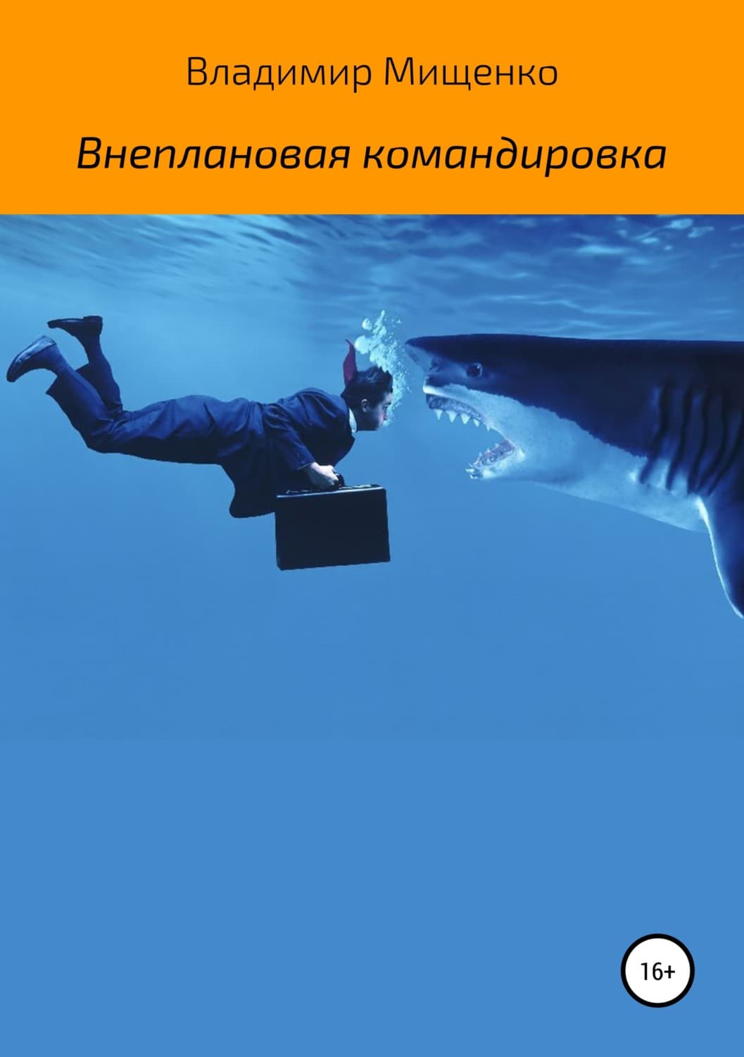 Обложка книги «Внеплановая командировка» — Виктор Мищенко, Марина Гришина