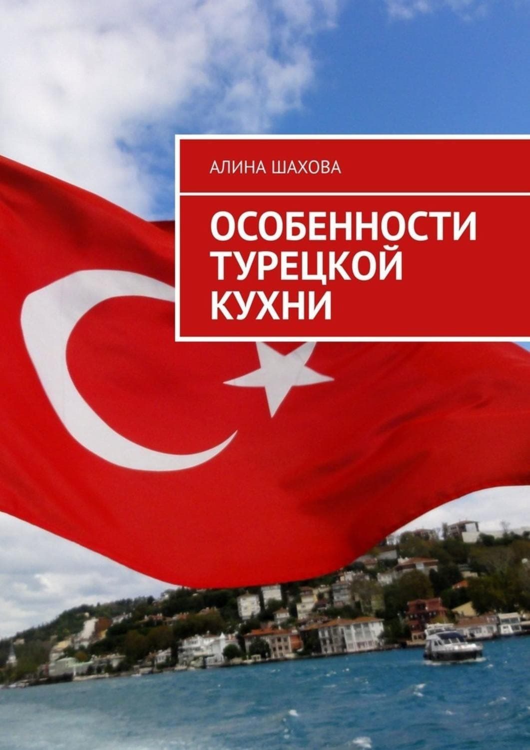 Обложка книги «Особенности турецкой кухни» — Анна Шахова