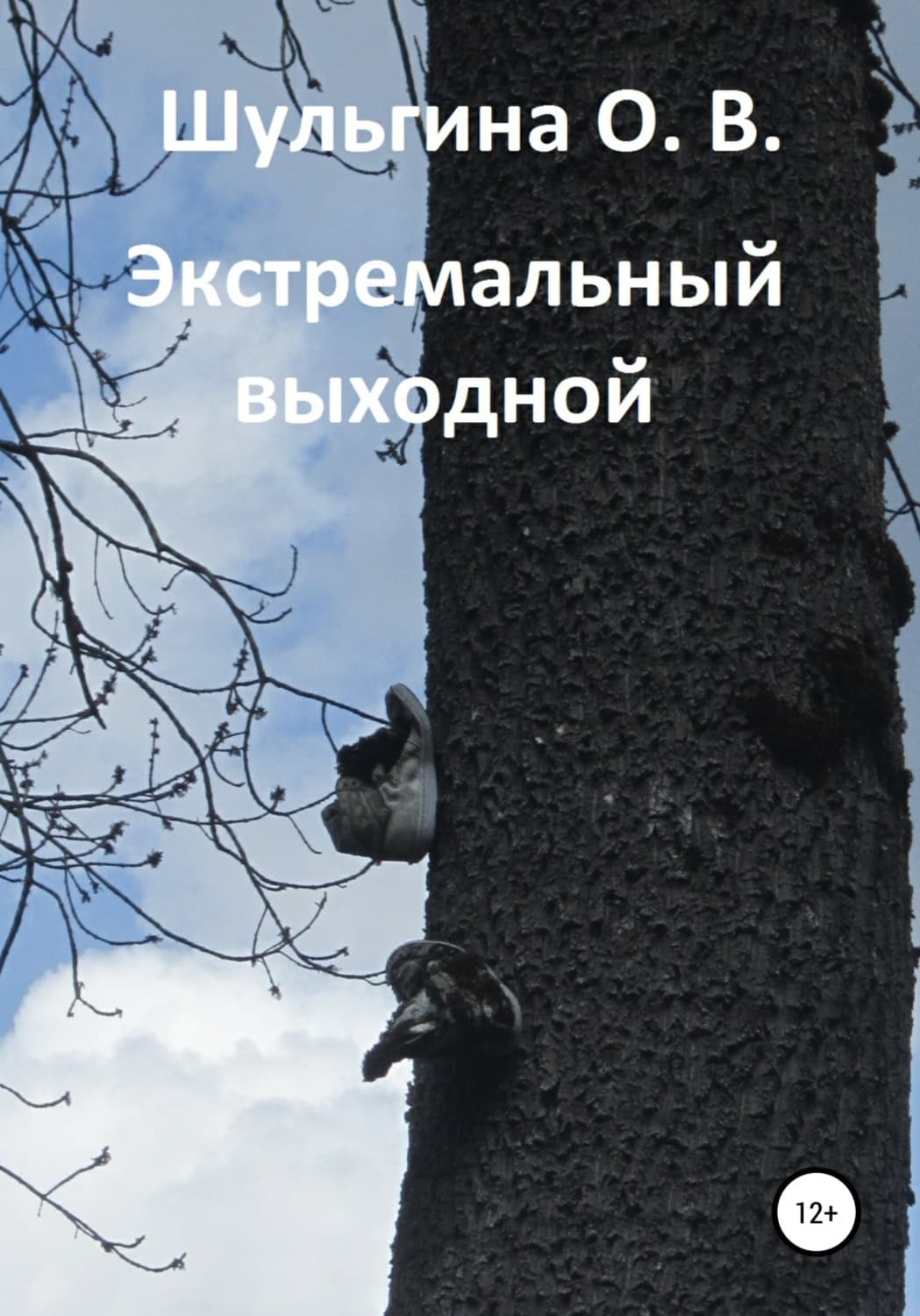 Обложка книги «Экстремальный выходной» — Ольга Шульгина