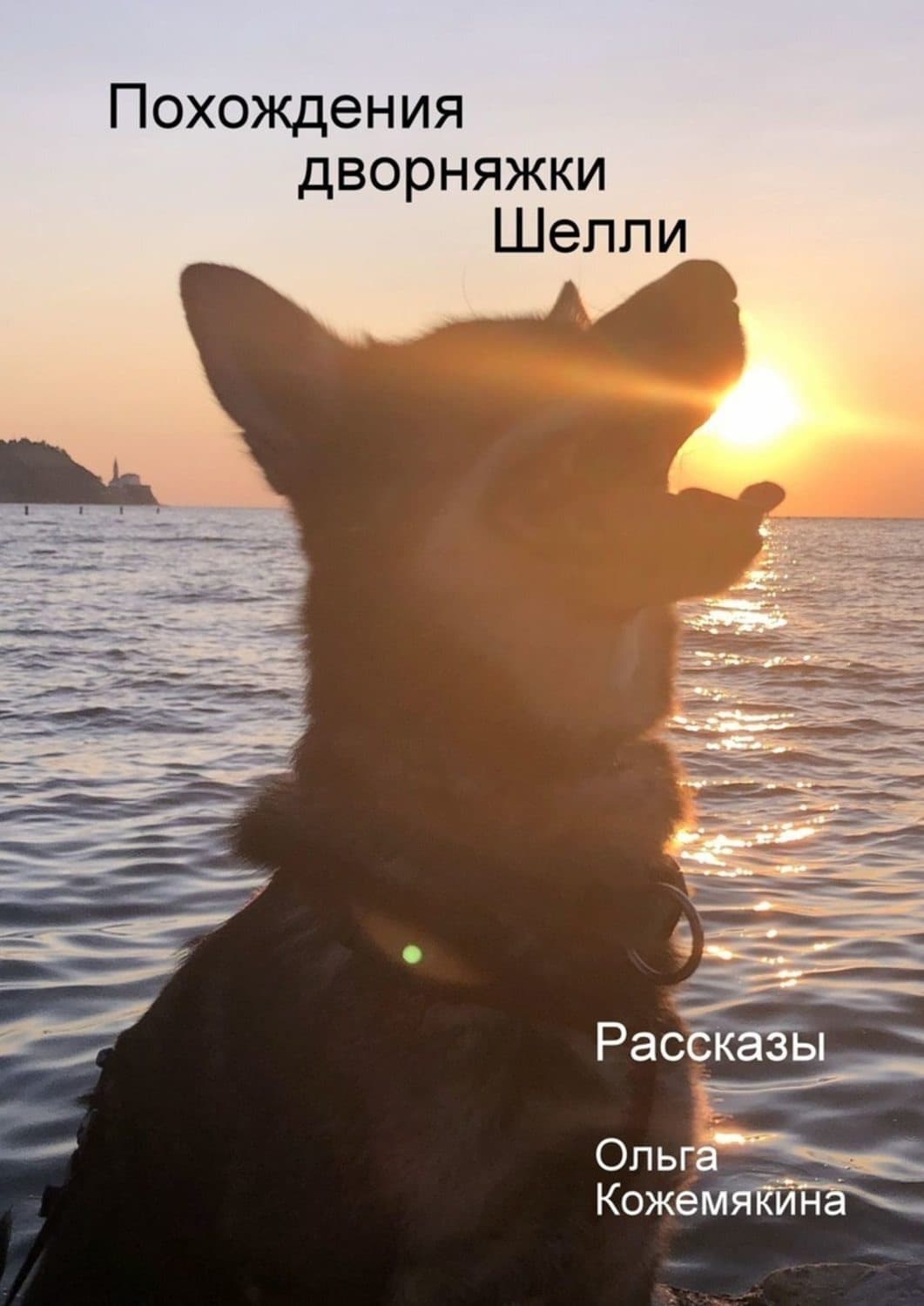 Обложка книги «Похождения дворняжки Шелли. Рассказы» — Ольга Кожемякина