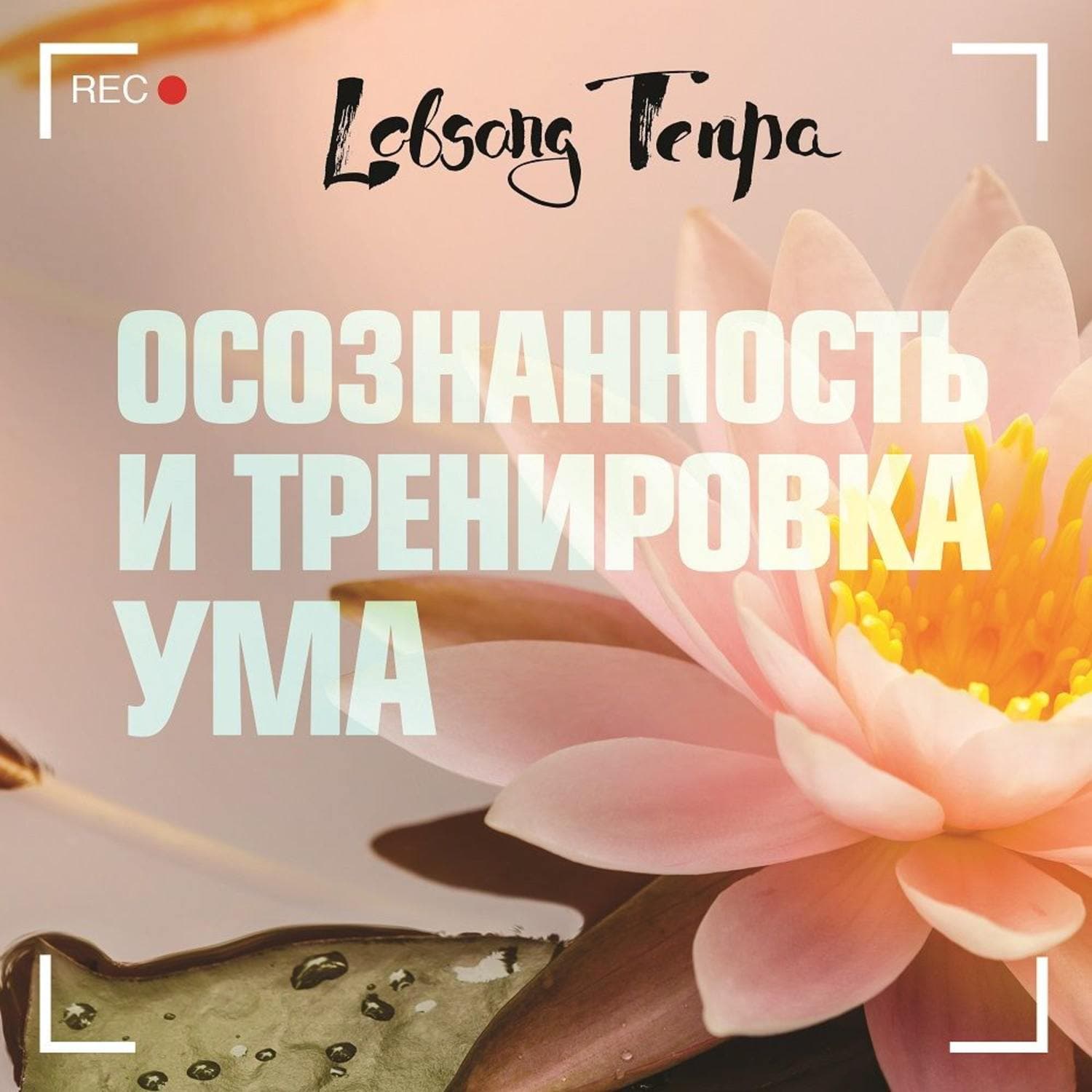Обложка книги «Осознанность и тренировка ума» — Лобсанг Тенпа