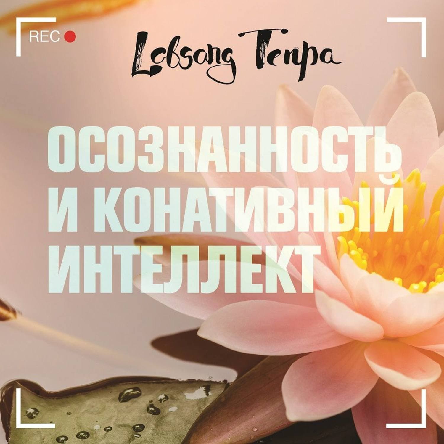 Обложка книги «Осознанность и конативный интеллект» — Лобсанг Тенпа