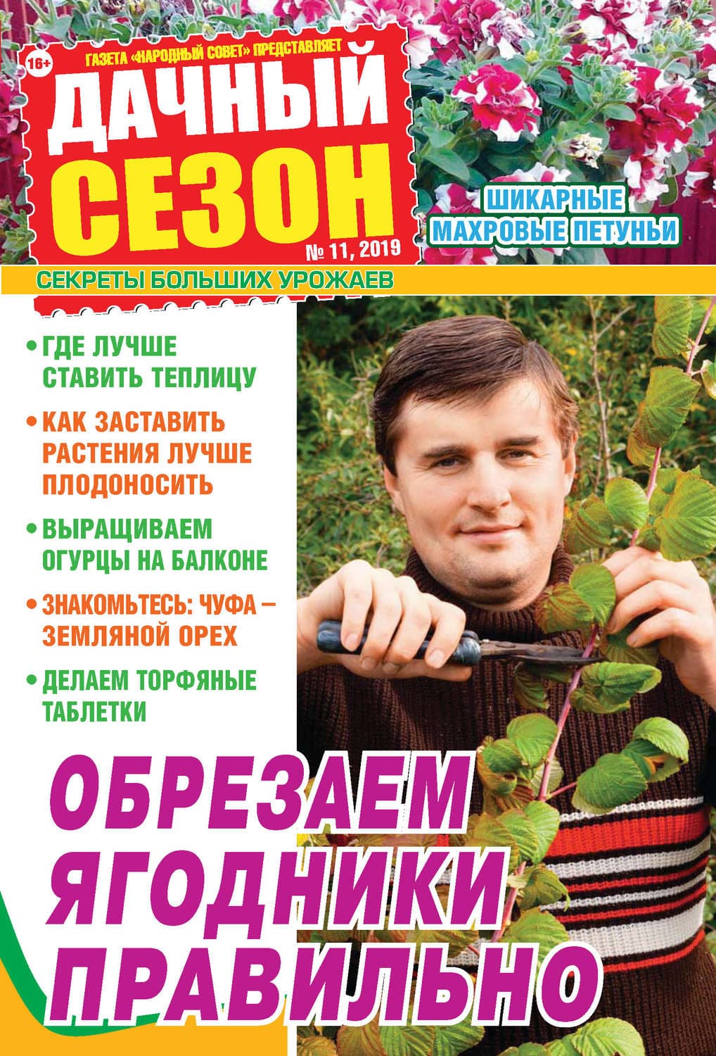 Обложка книги «Дачный сезон №11/2019» — Джон С. Бек