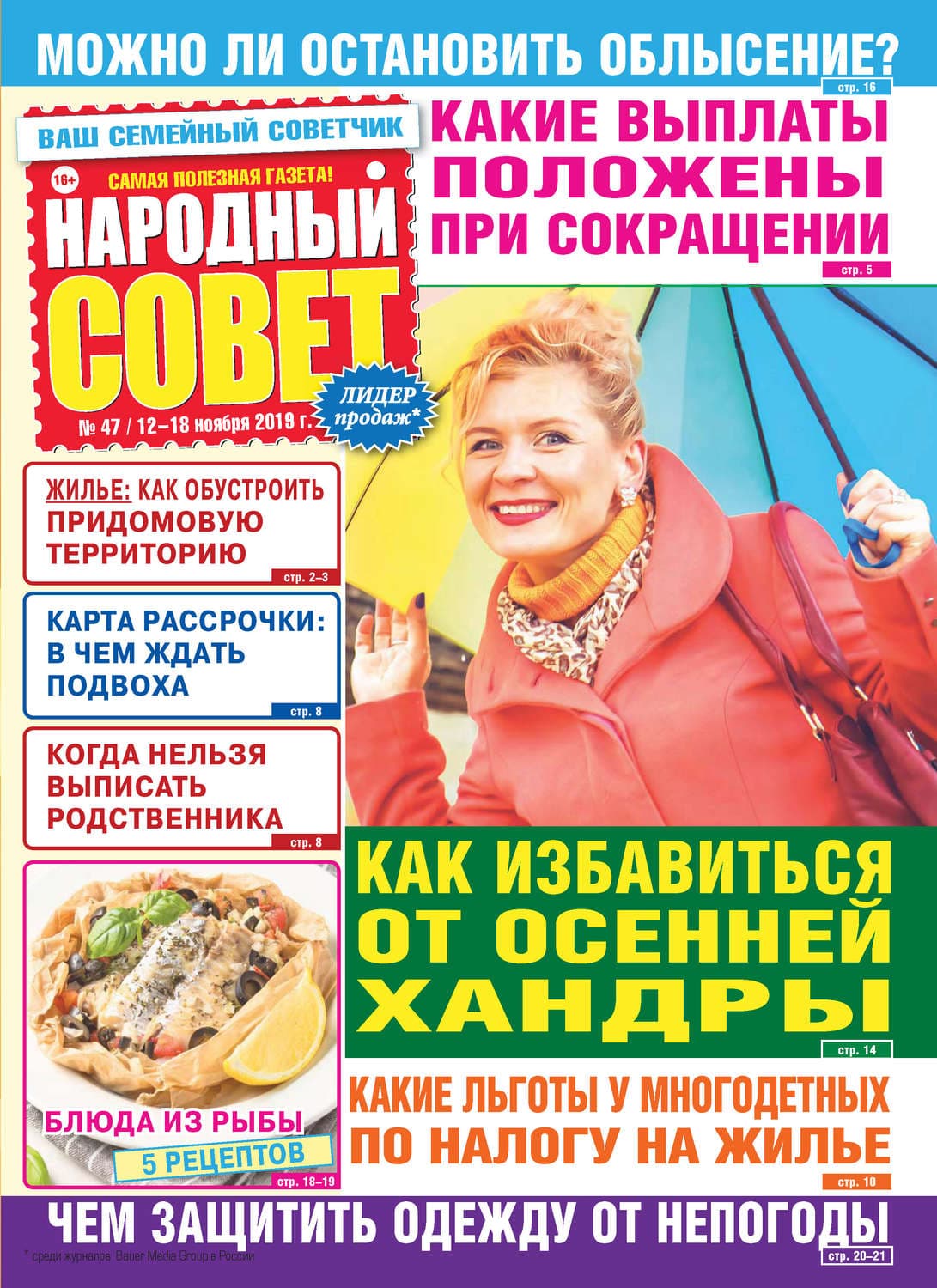 Обложка книги «Народный совет №47/2019» — Магнус Мист