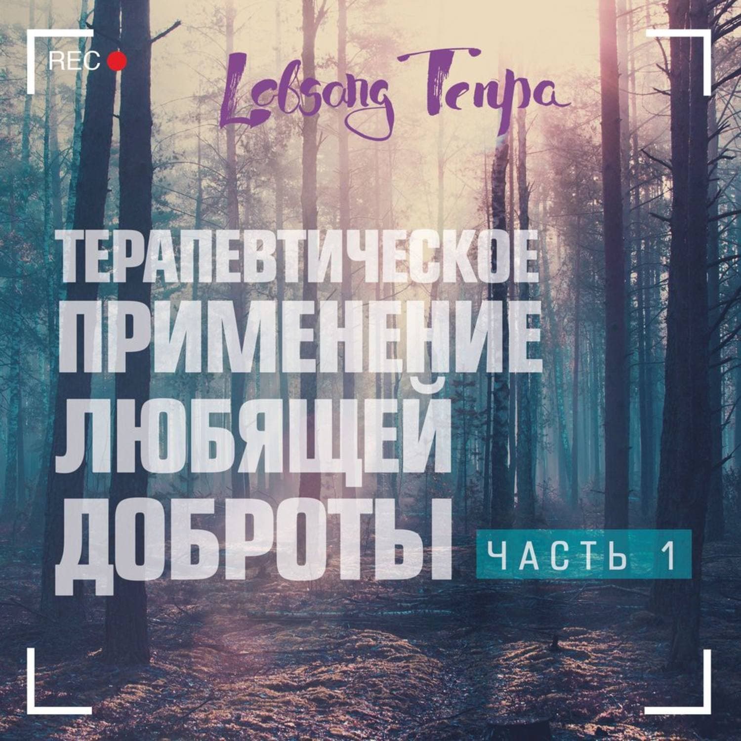 Обложка книги «Терапевтическое применение практики любящей доброты. Часть 1» — Лобсанг Тенпа