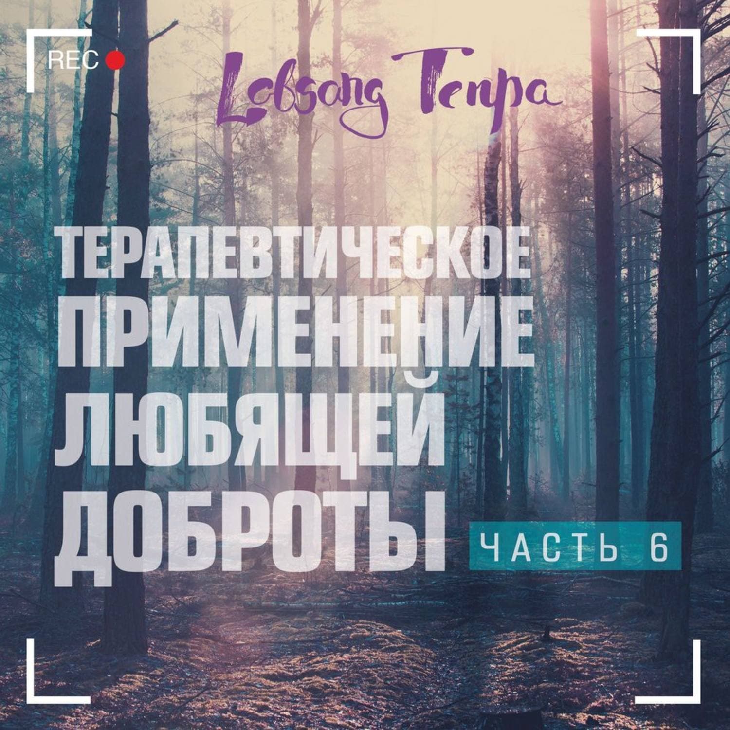 Обложка книги «Терапевтическое применение практики любящей доброты. Часть 6» — Лобсанг Тенпа