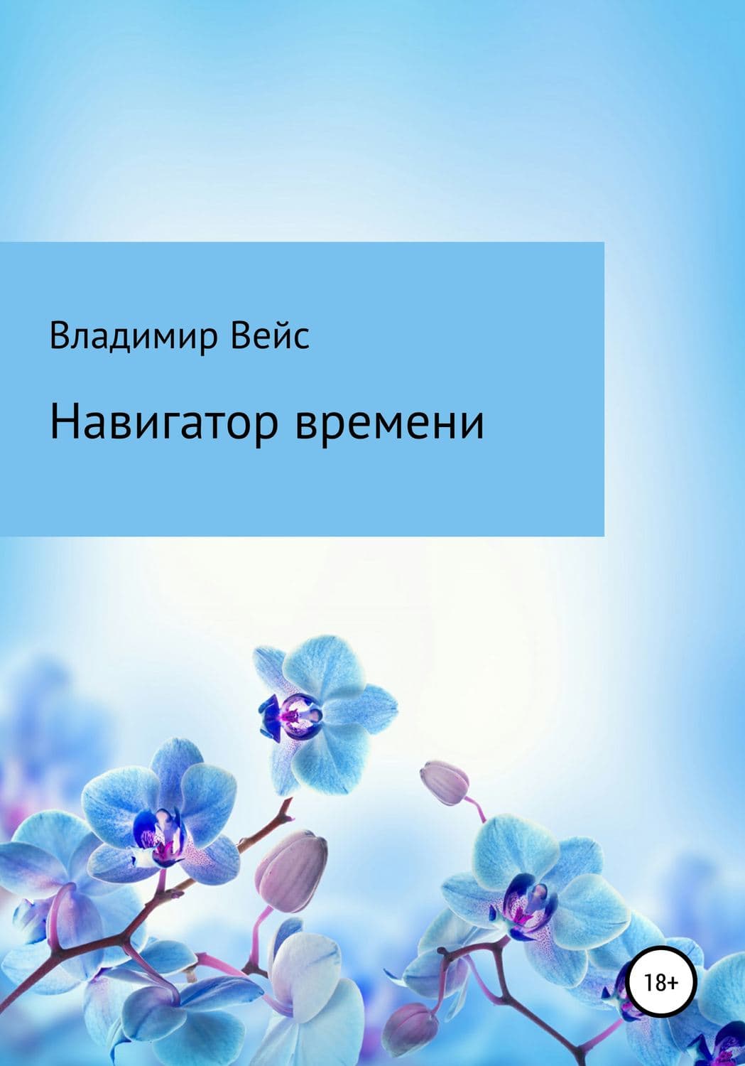 Обложка книги «Навигатор времени» — Владимир Вейс, Майкл Литтман
