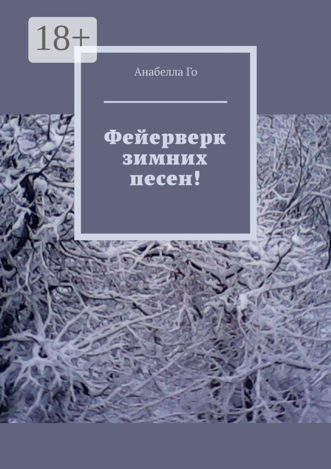 Обложка книги «Фейерверк зимних песен!» — Анабелла Го