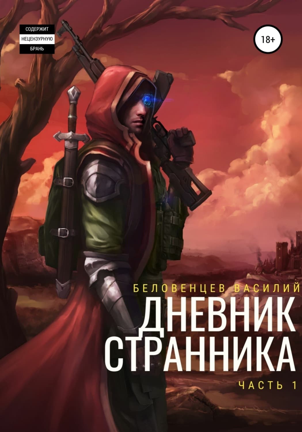 Обложка книги «Дневник Странника» — Коллектив авторов, Василий Беловенцев