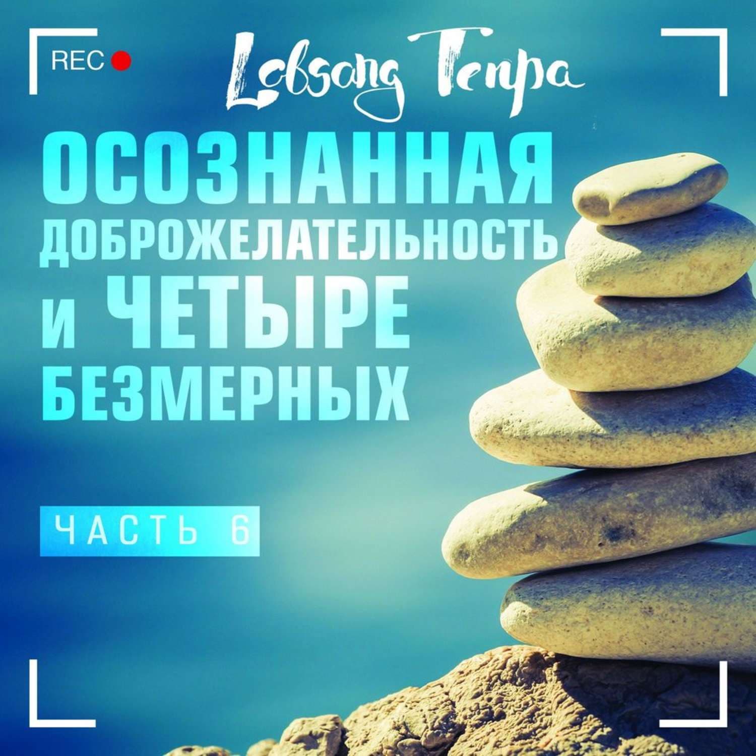 Обложка книги «Осознанная доброжелательность и четыре безмерных. Часть 6» — Лобсанг Тенпа, Вероника Хэли
