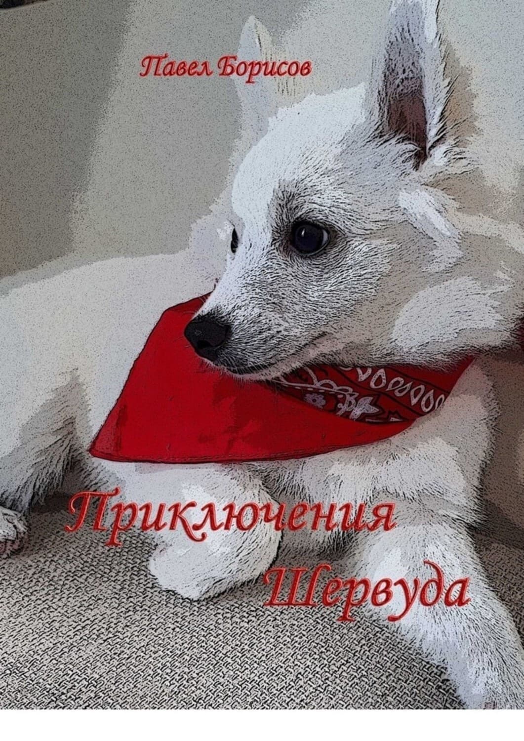 Обложка книги «Приключения Шервуда» — Петр Борисов