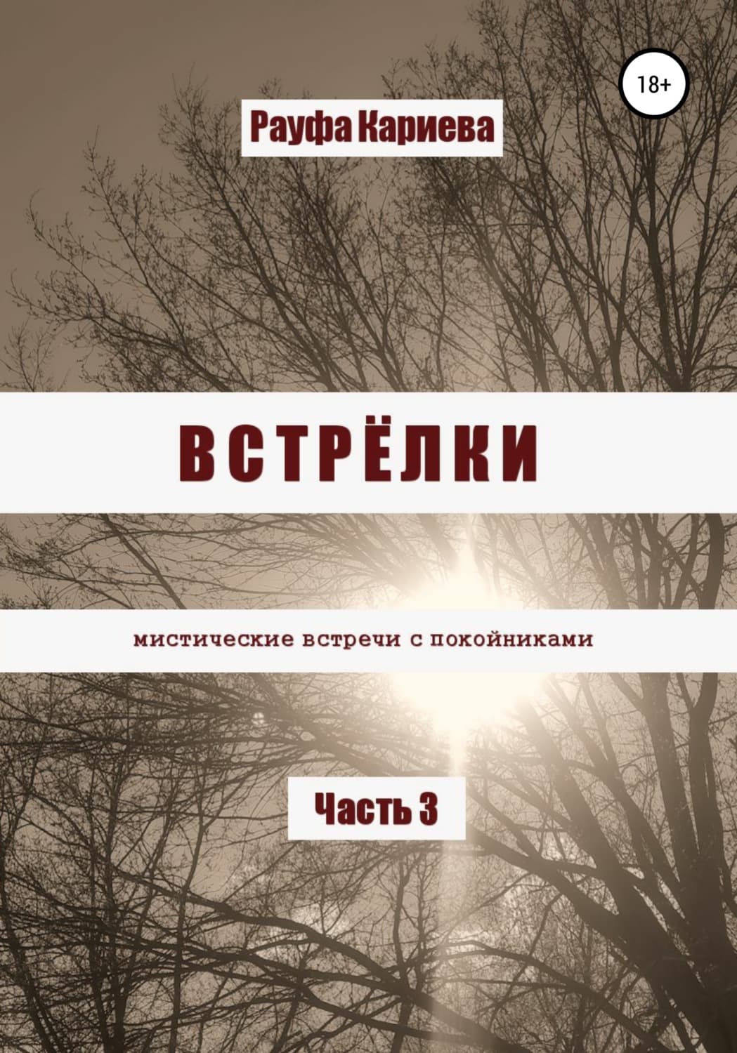 Обложка книги «Встрёлки 3» — Рауфа Кариева, Марина Мишункина