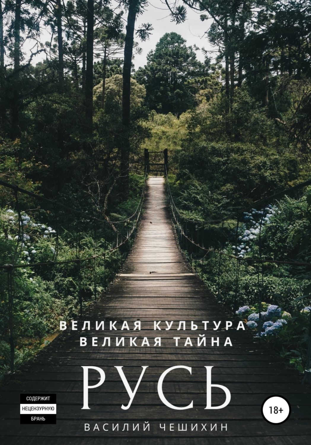 Обложка книги «Русь» — Ана Шерри, Василий Чешихин