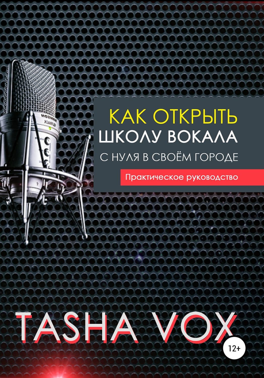 Обложка книги «Как открыть школу вокала с нуля в своём городе. Практическое руководство» — Таша Вокс, Екатерина Сальманова