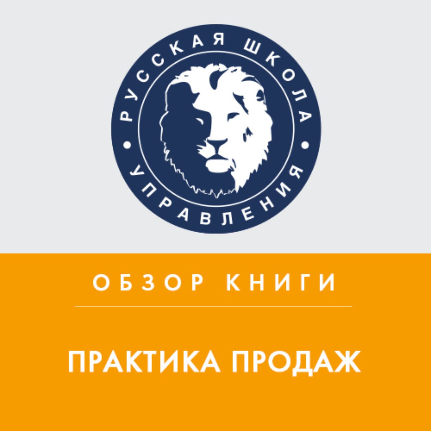 Обложка книги «Обзор книги Р. Шнаппауфа «Практика продаж»» — Анна Дочкина, Виктория Калинина