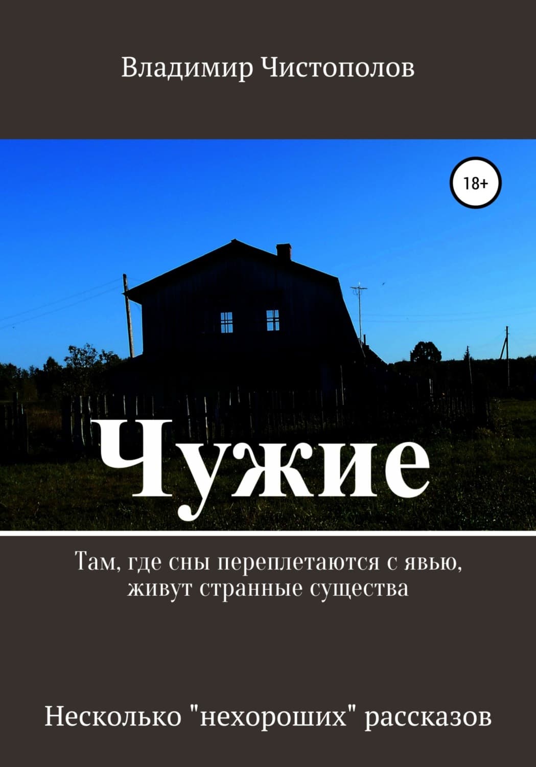 Обложка книги «Чужие. Сборник рассказов» — Владимир Чистополов