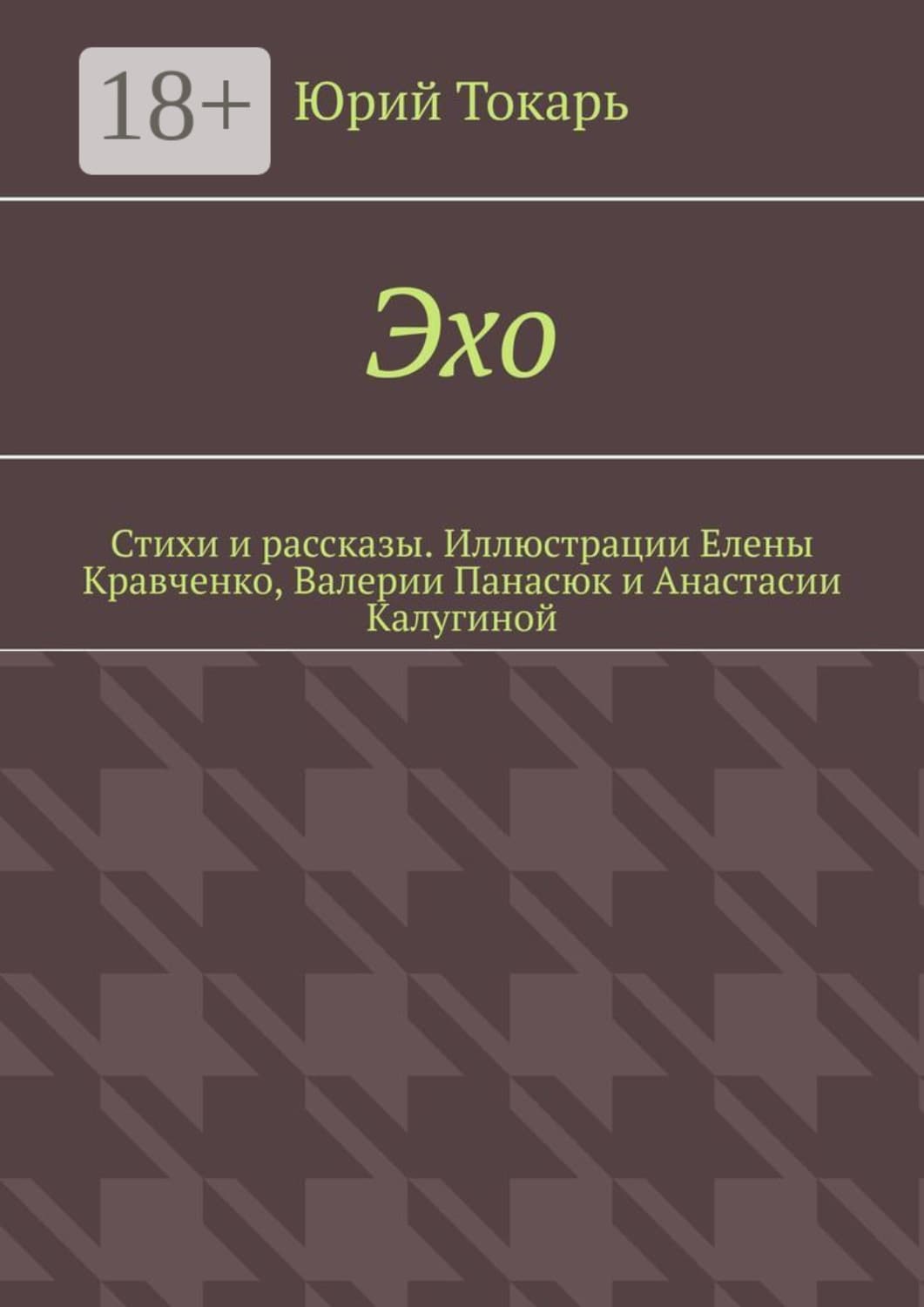 Обложка книги «Эхо. Стихи и рассказы. Иллюстрации Елены Кравченко, Валерии Панасюк и Анастасии Калугиной» — Юрий Токарь