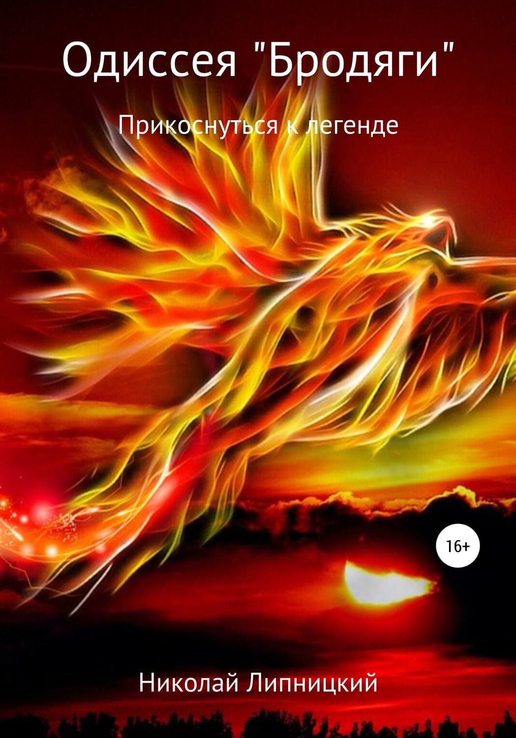 Обложка книги «Одиссея «Бродяги». Прикоснуться к легенде» — Николай Липницкий