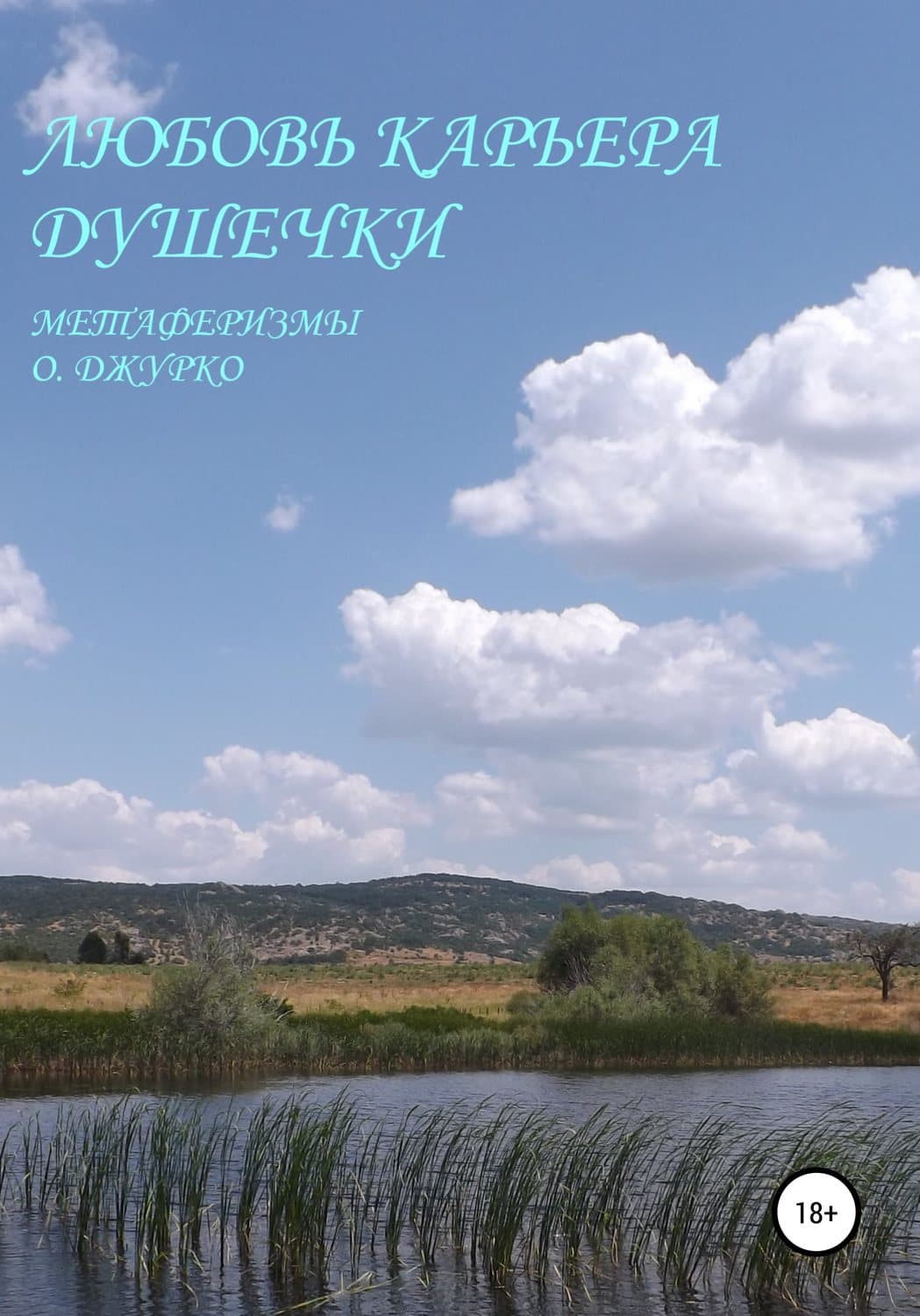 Обложка книги «Любовь – карьера душечки» — Олег Джурко, Геннадий Сорокин
