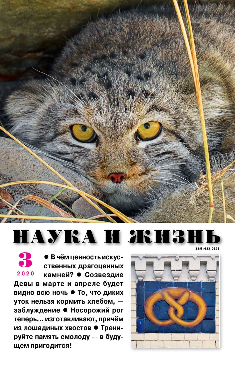 Обложка книги «Наука и жизнь №03/2020» — Автор неизвестен