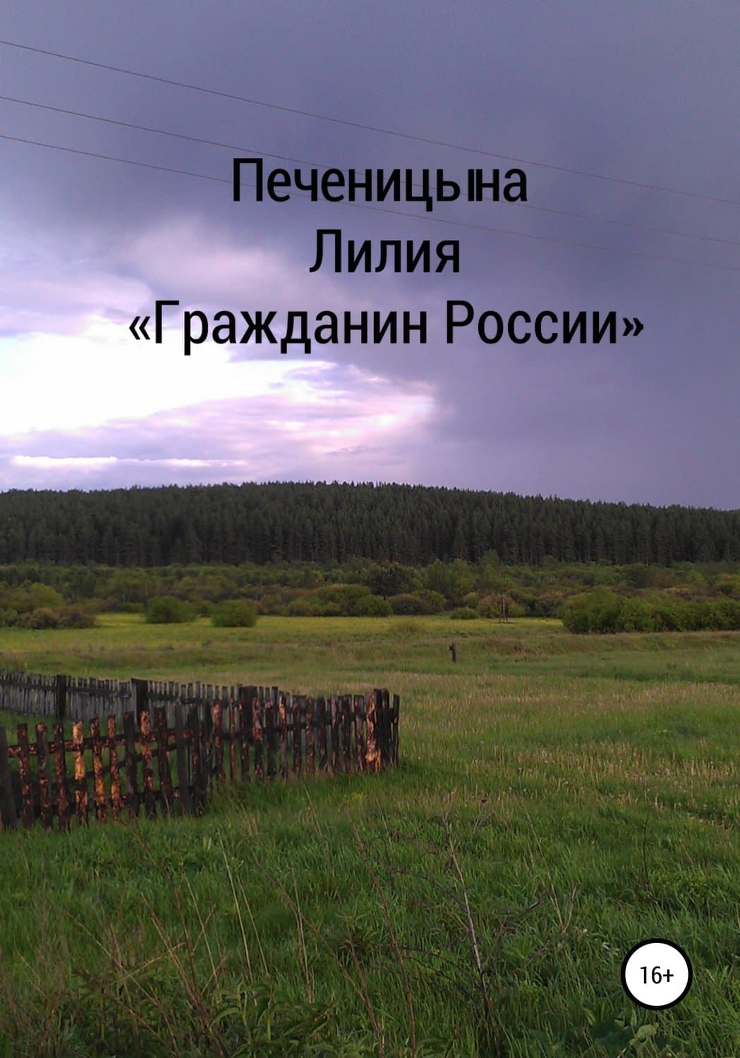 Обложка книги «Гражданин России» — Лилия Печеницына