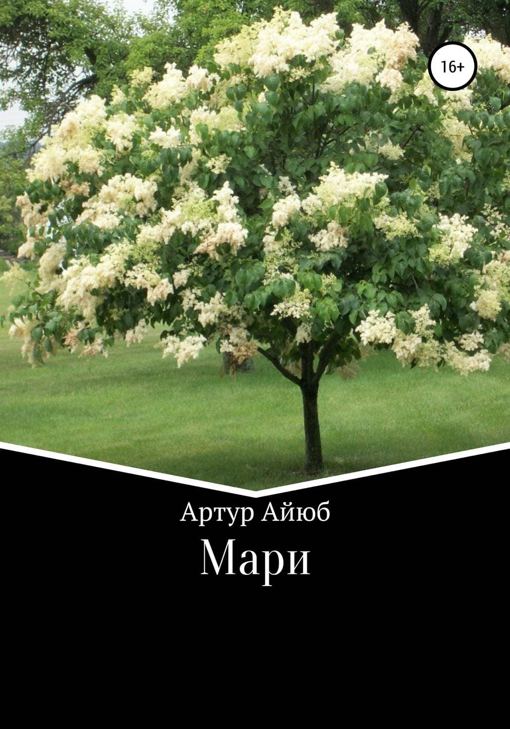 Обложка книги «Мари» — Анастасия Чернышева, Артур Айюб