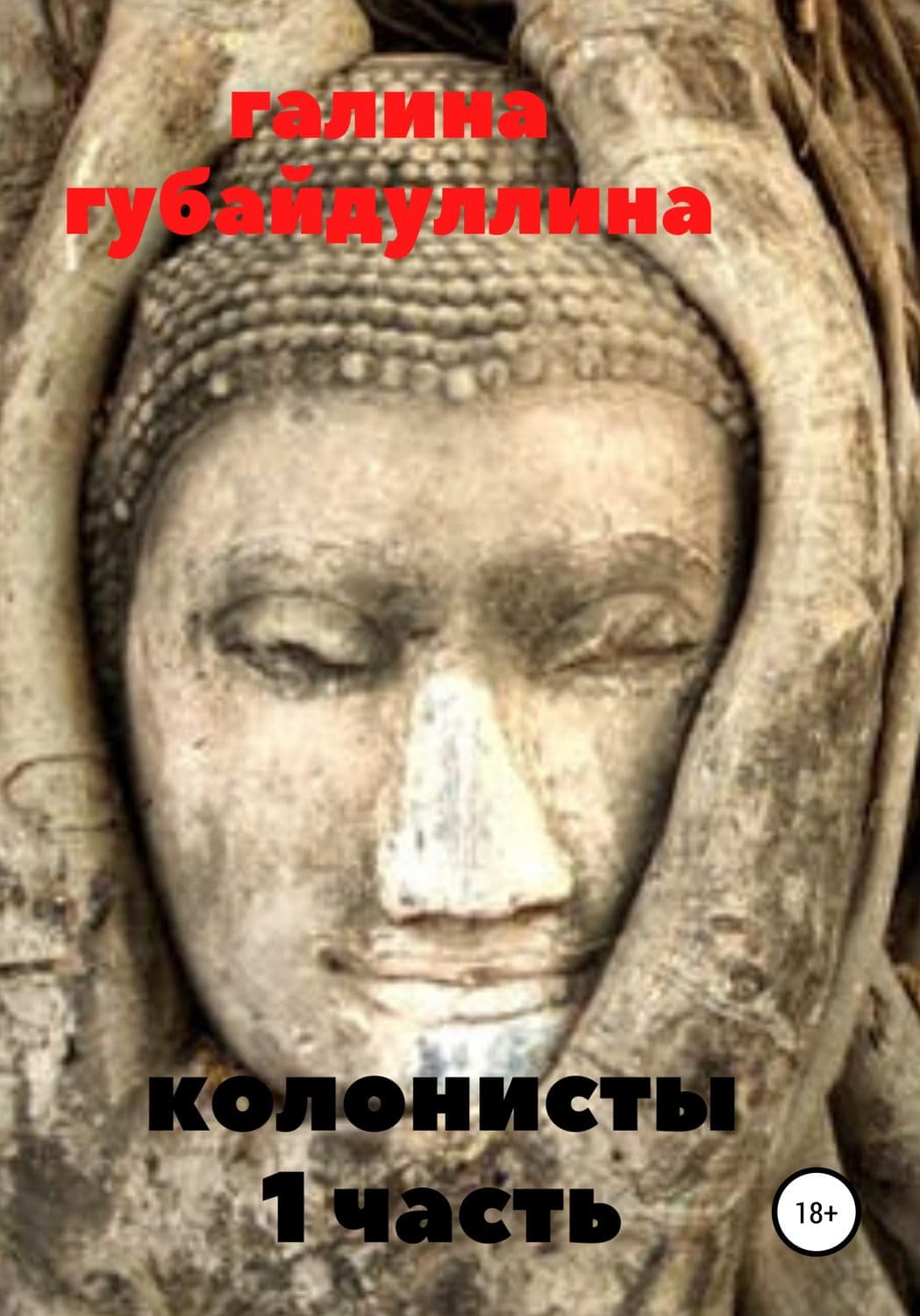 Обложка книги «Колонисты» — Дикуль Валентин, Галина Губайдуллина