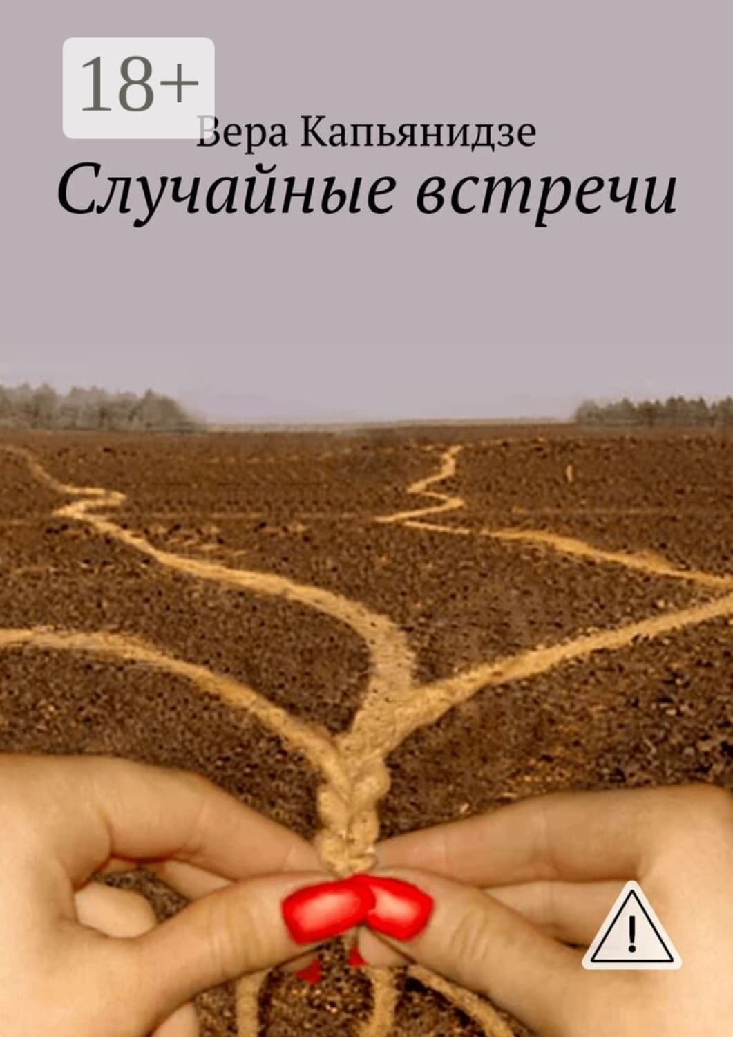Обложка книги «Случайные встречи» — Вера Капьянидзе