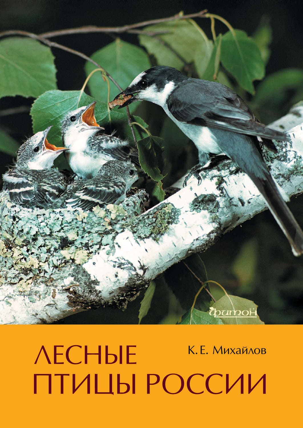 Обложка книги «Лесные птицы России» — Константин Михайлов