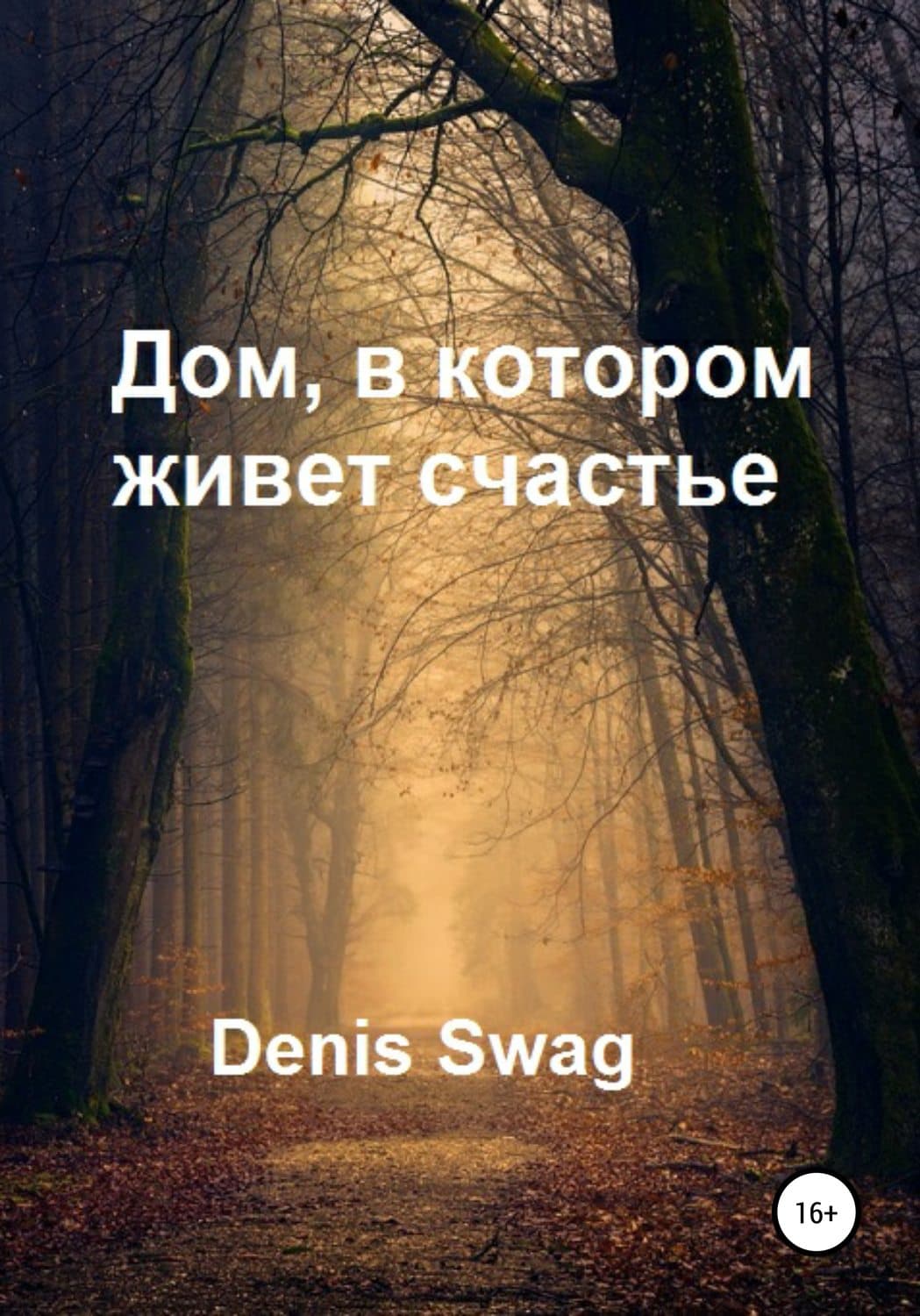 Обложка книги «Дом, в котором живет счастье» — Денис Сваг