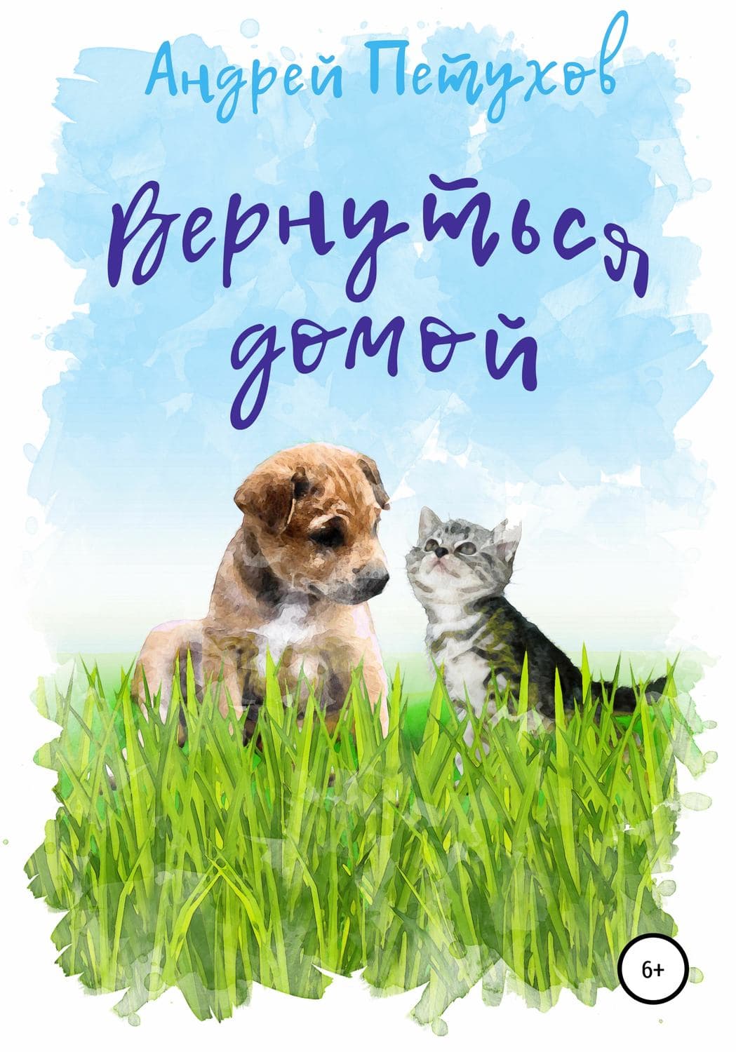 Обложка книги «Вернуться домой» — Андрей Петухов