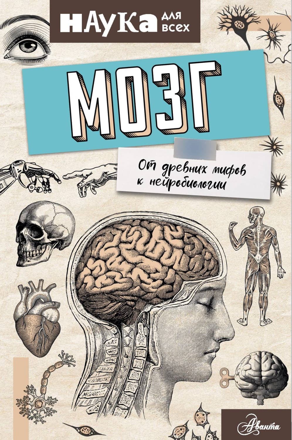 Обложка книги «Мозг. От древних мифов к нейробиологии» — Энн Руни