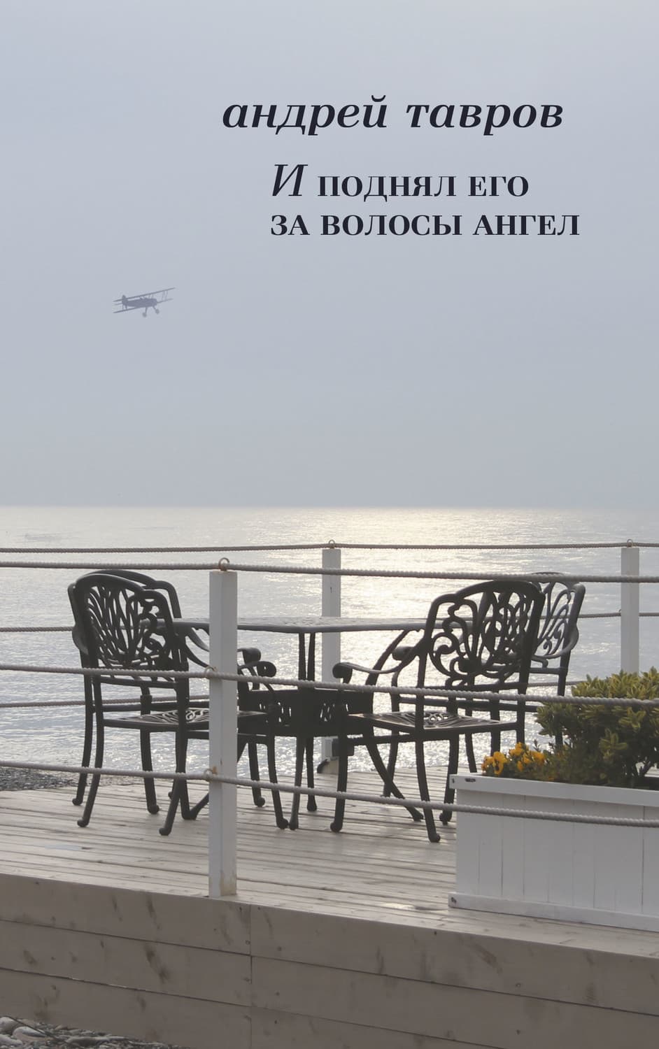 Обложка книги «И поднял его за волосы ангел» — Андрей Тавров
