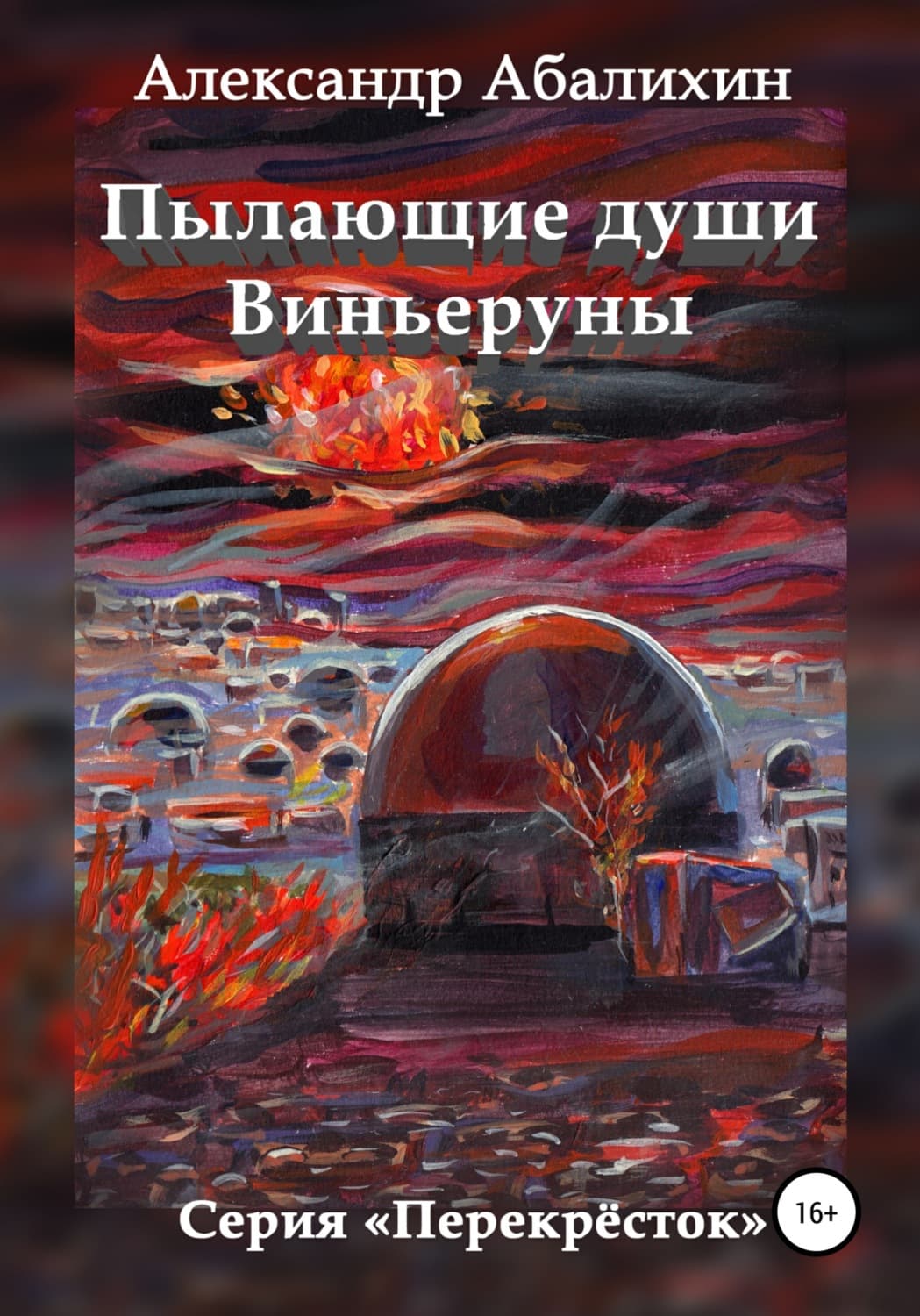 Обложка книги «Пылающие души Виньеруны» — Александр Абалихин