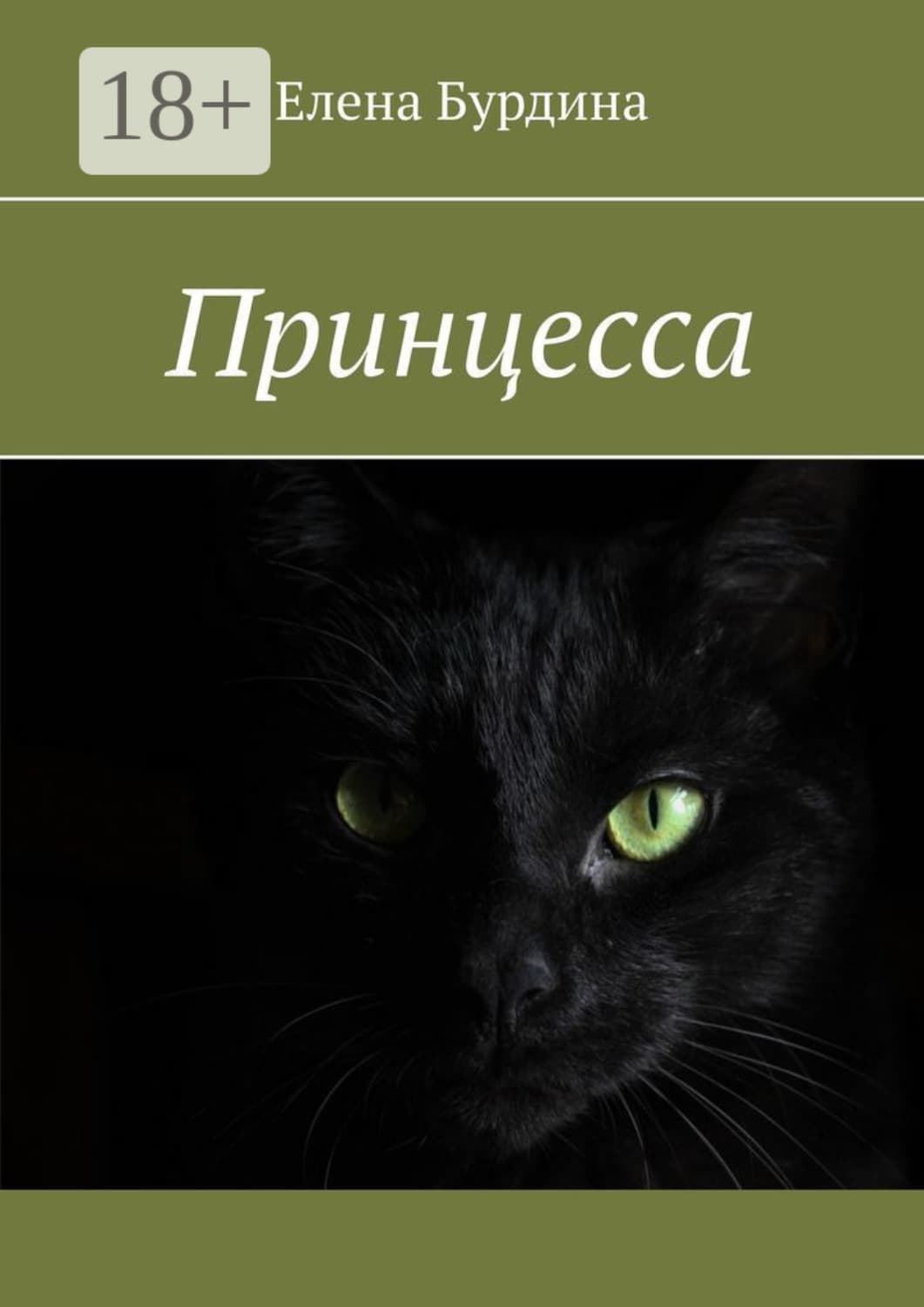 Обложка книги «Принцесса» — Елена Бурдина