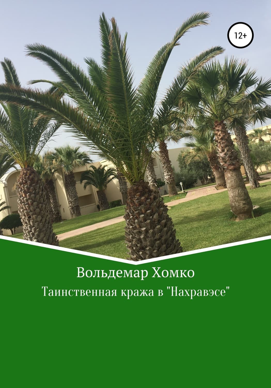 Обложка книги «Таинственная кража в Нахравэсе» — Вольдемар Хомко