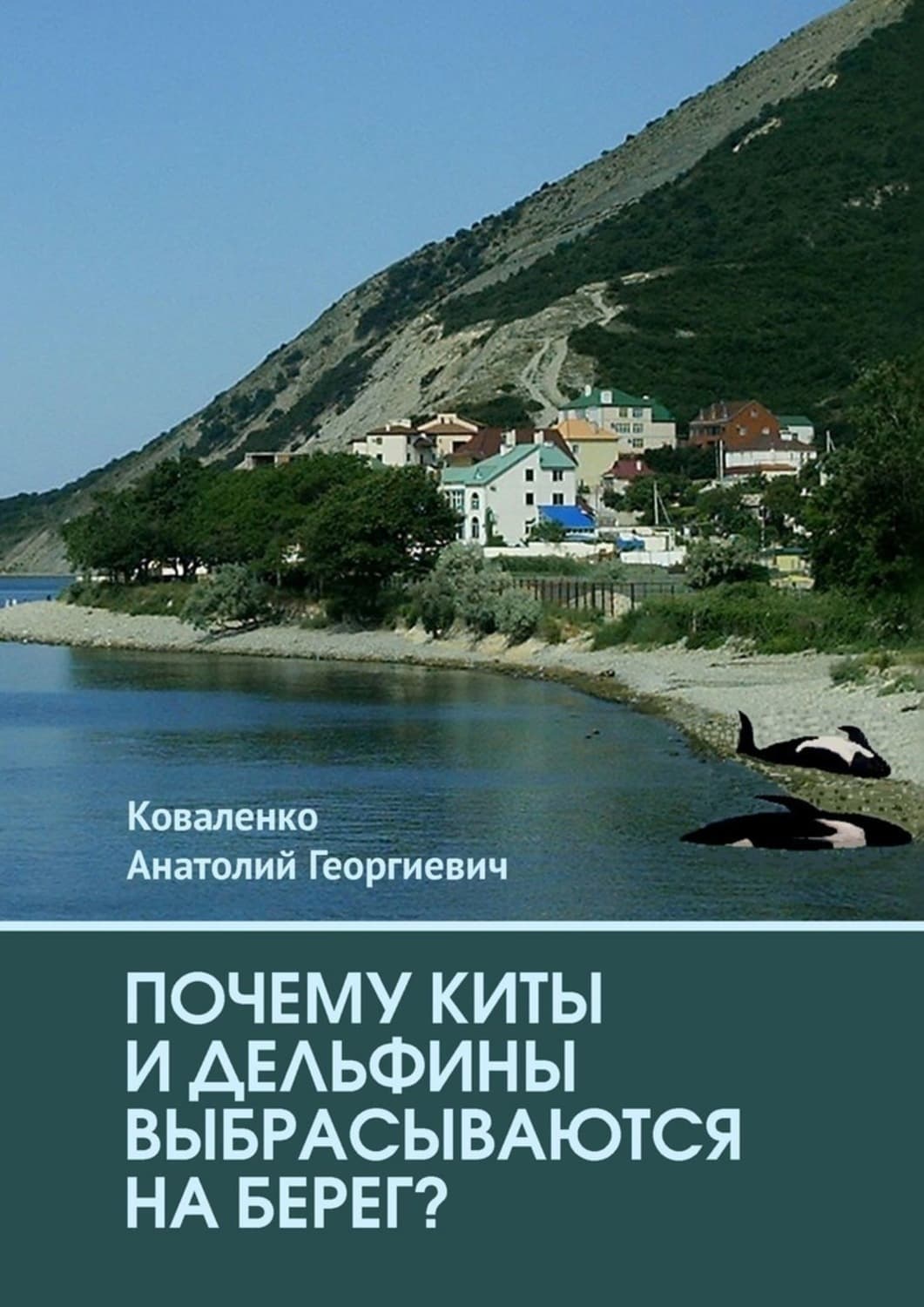 Обложка книги «Почему киты и дельфины выбрасываются на берег?» — А. И. Коваленко