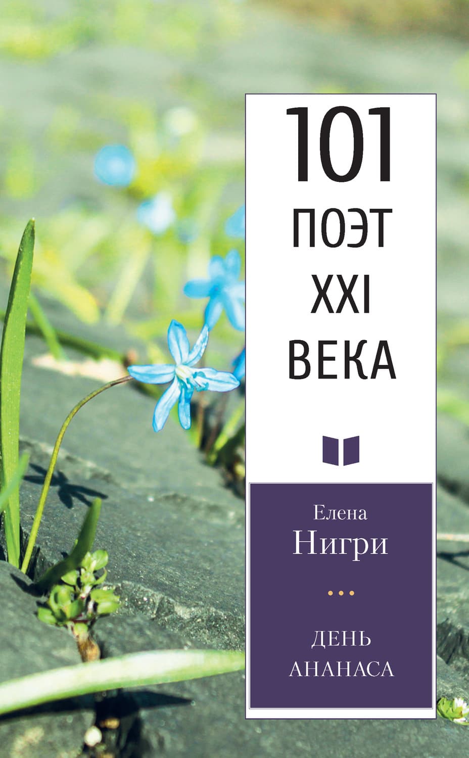 Обложка книги «День ананаса» — Елена Нигри