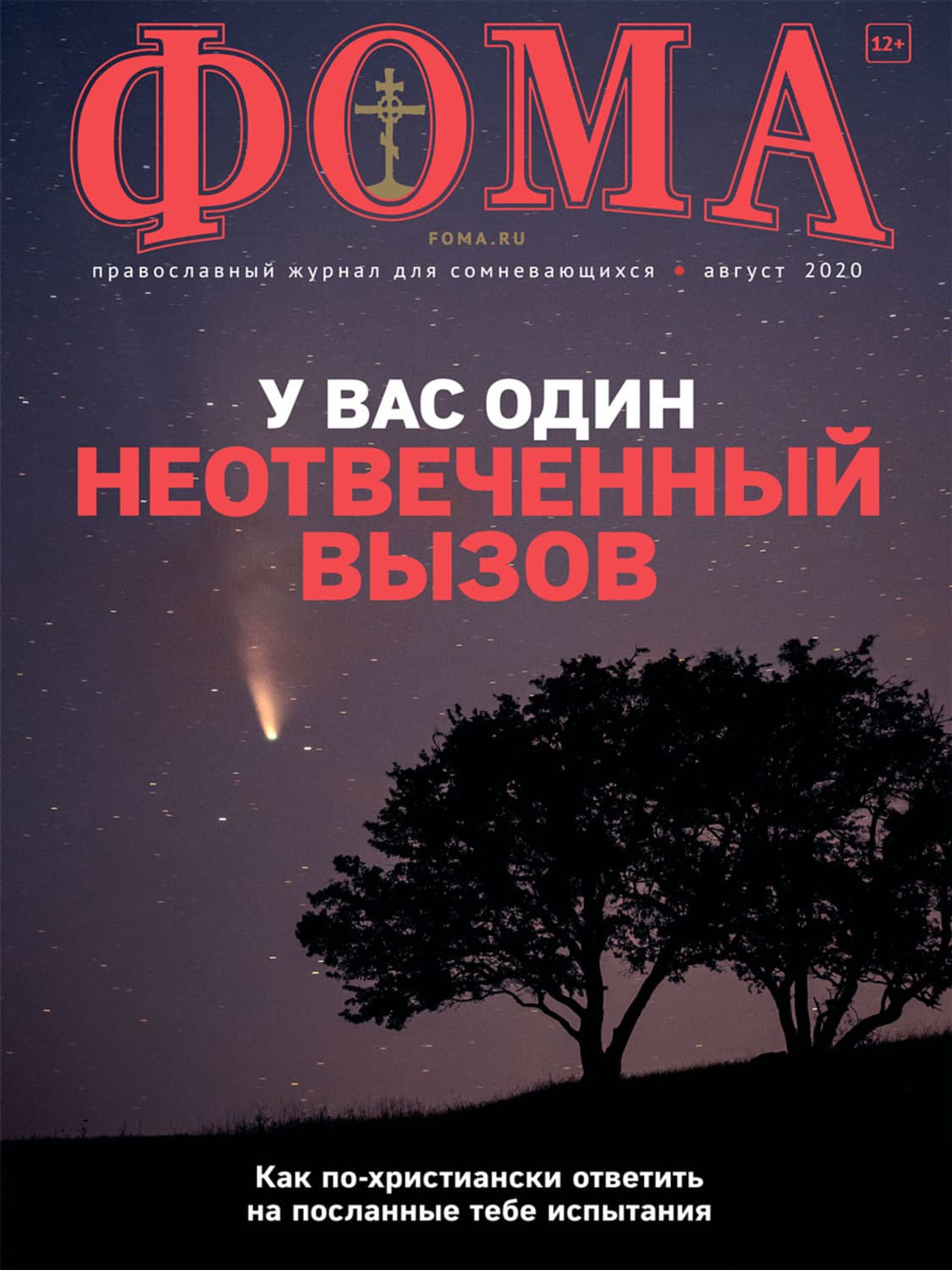 Обложка книги «Журнал «Фома». № 8(208) / 2020» — Автор неизвестен