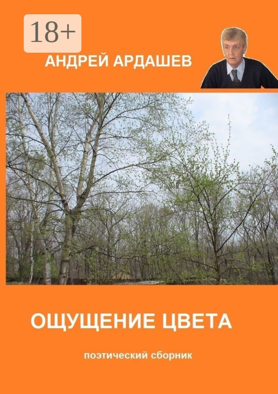 Обложка книги «Ощущение цвета. Поэтический сборник» — Алексей Ардашев