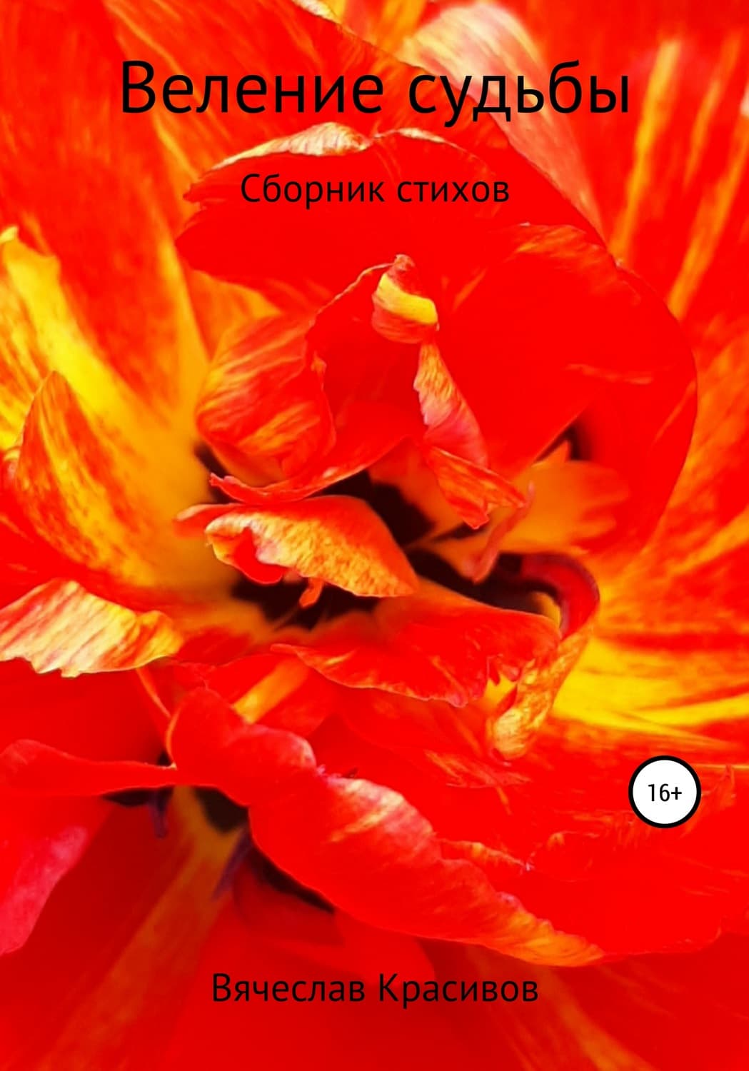 Обложка книги «Веление судьбы» — Вячеслав Красивов