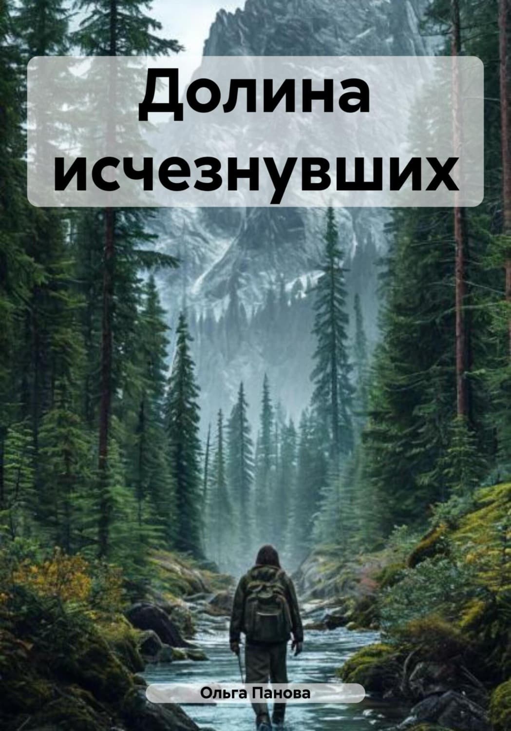 Обложка книги «Долина исчезнувших» — Ольга Панова