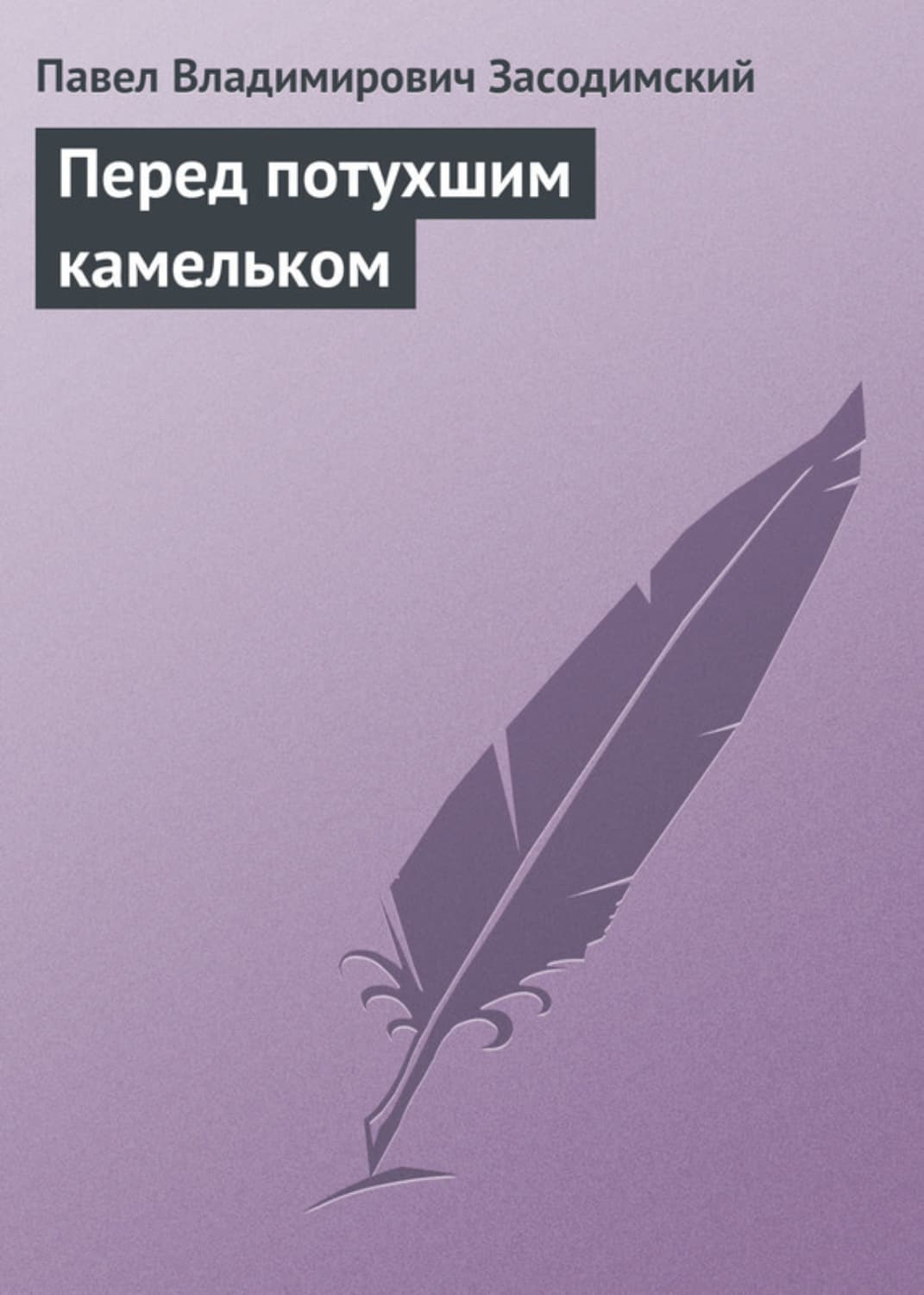 Обложка книги «Перед потухшим камельком» — Павел Засодимский