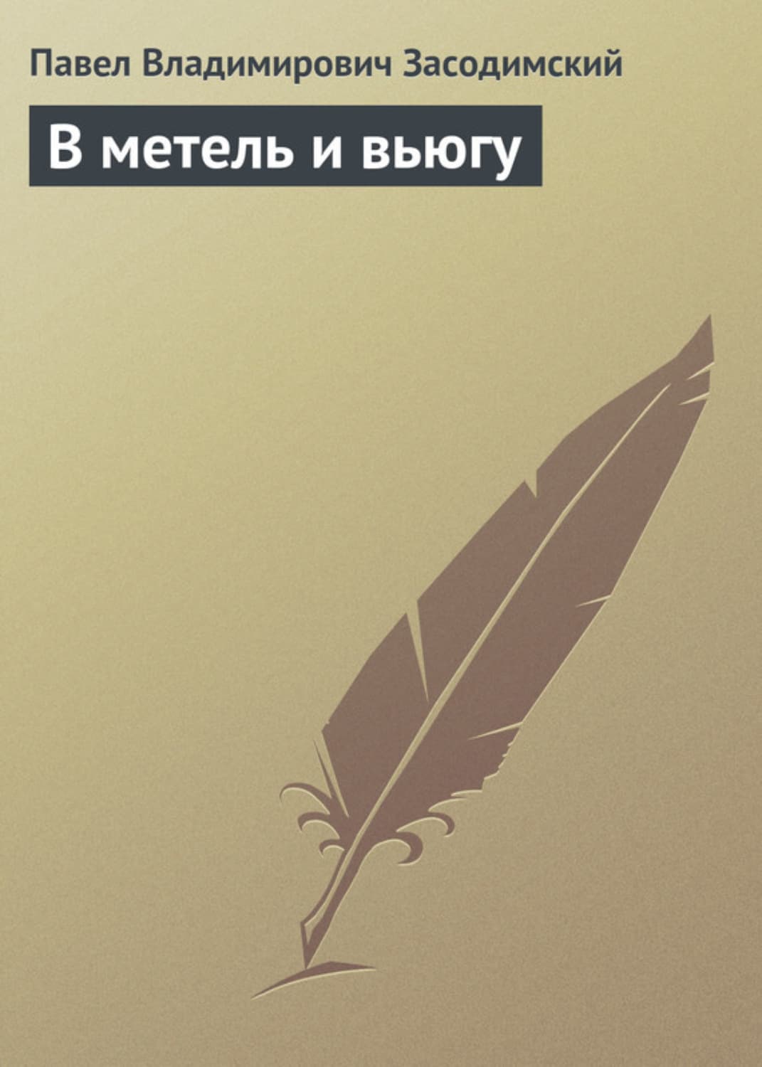 Обложка книги «В метель и вьюгу» — Павел Засодимский