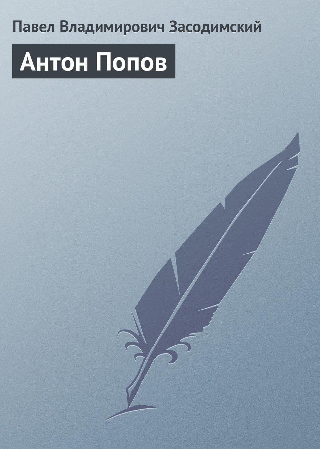 Обложка книги «Антон Попов» — Павел Засодимский, Наталия Полянская