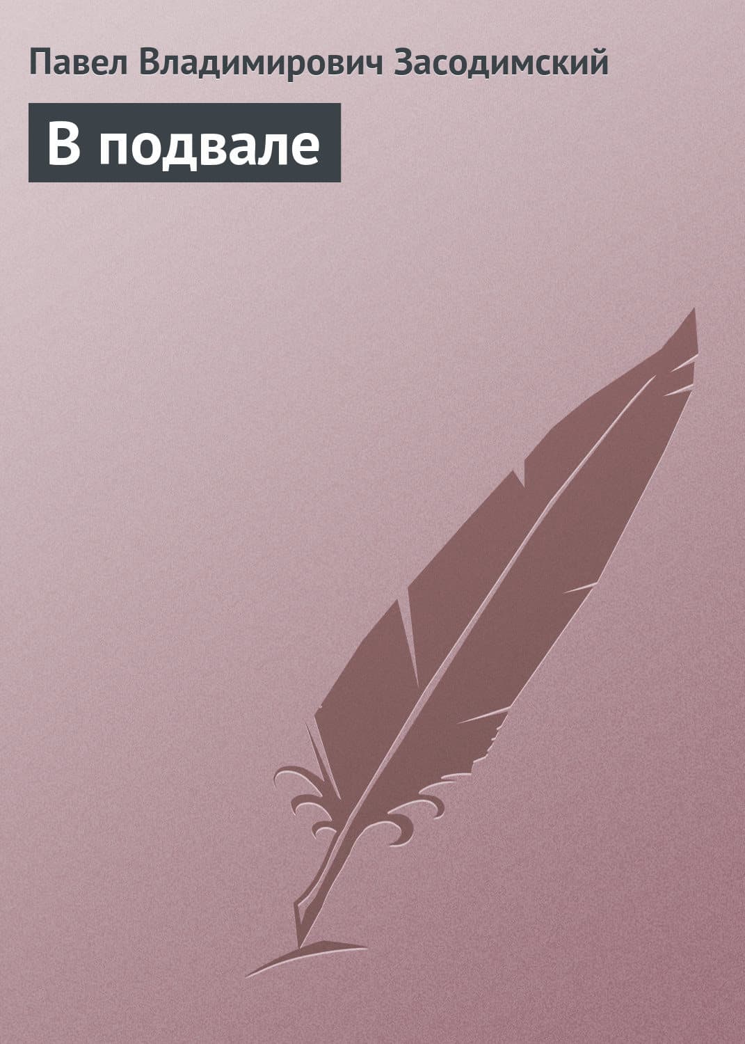 Обложка книги «В подвале» — Павел Засодимский