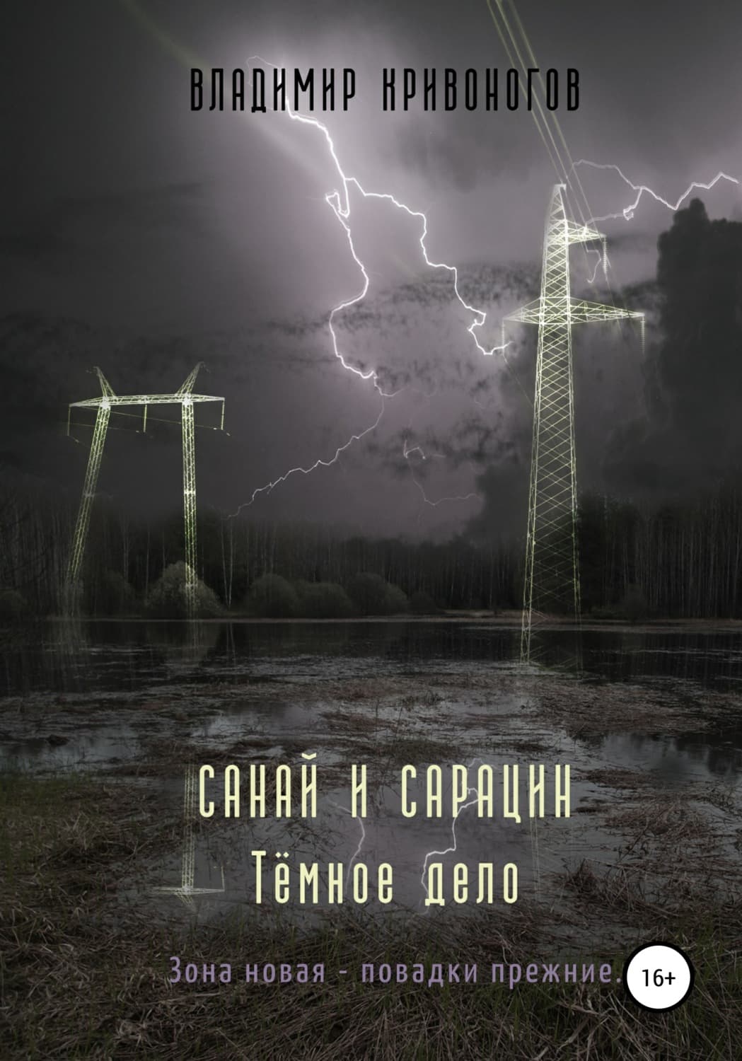 Обложка книги «Санай и Сарацин. Темное дело» — Владимир Кривоногов