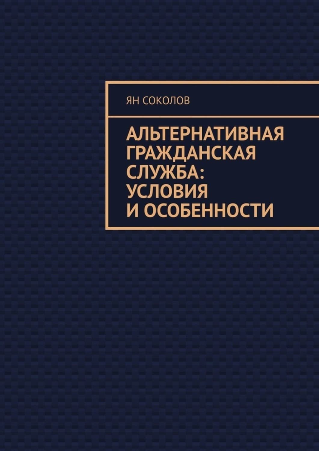 Обложка книги «Альтернативная гражданская служба: условия и особенности» — Ярослав Соколов