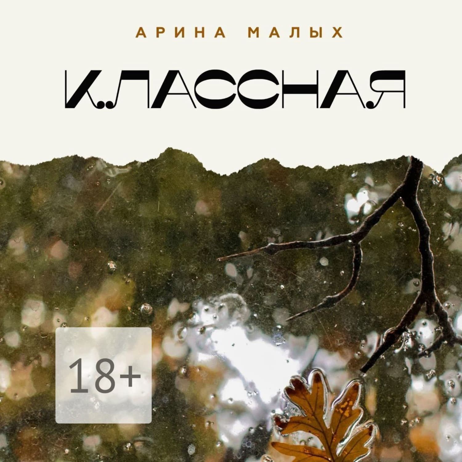 Обложка книги «Классная» — Мур Арина